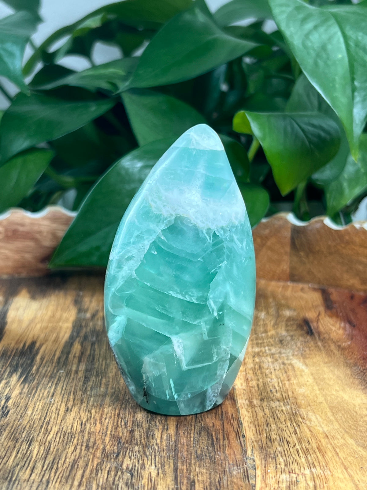 Mexican Flourite Freeform: AE