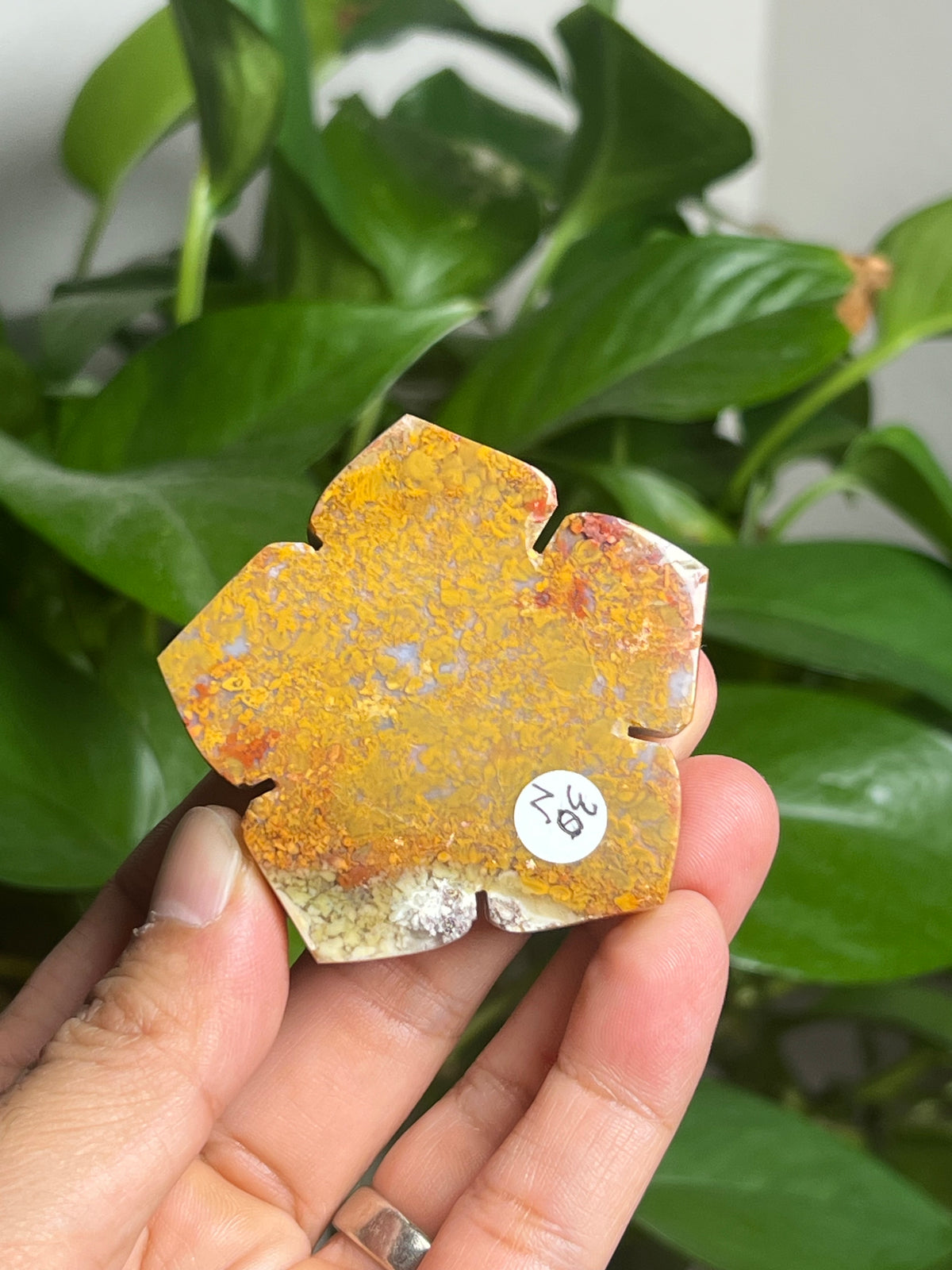 Scenic Moss Agate Flower: N