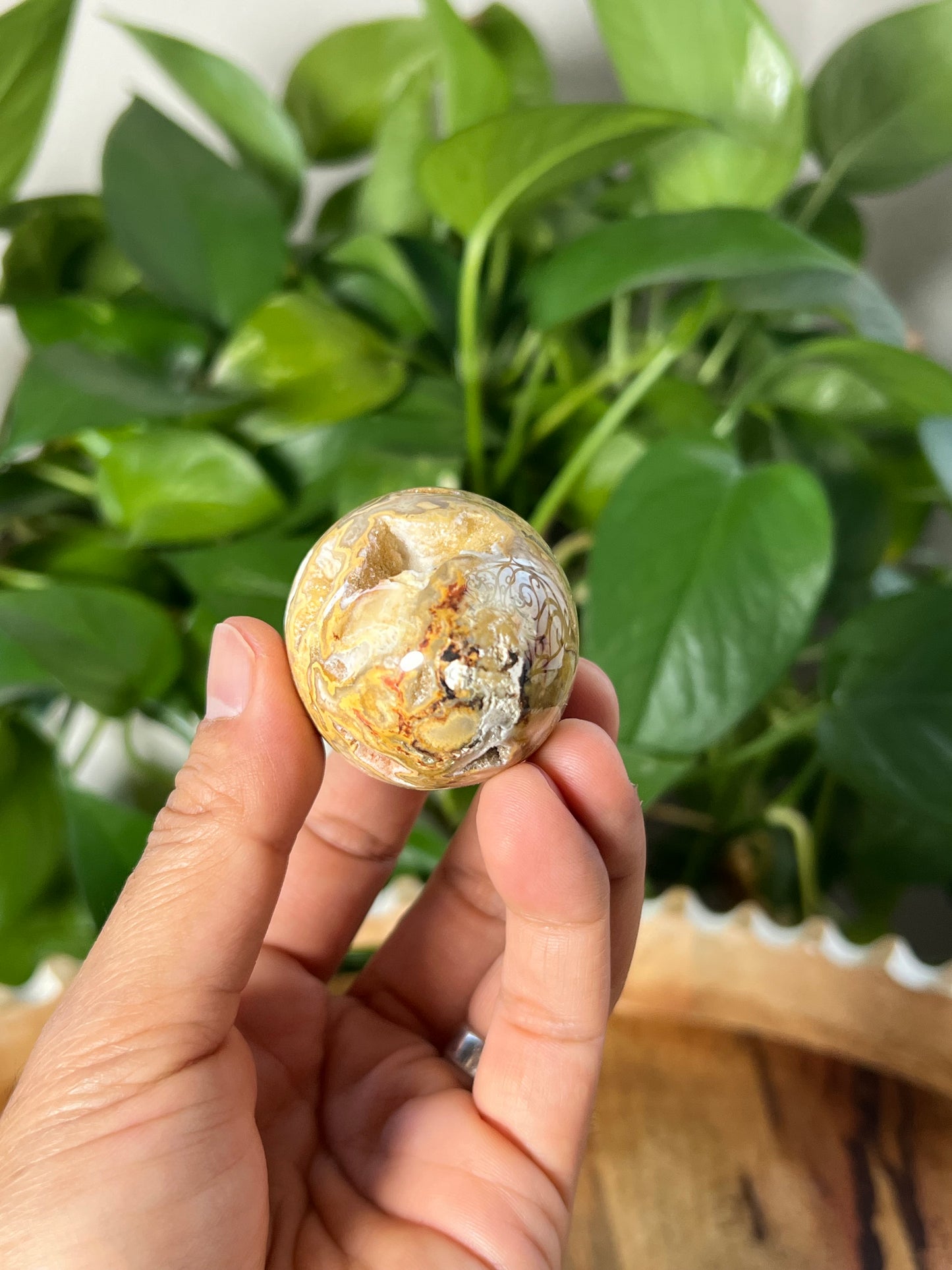 Crazy Lace Agate Egg