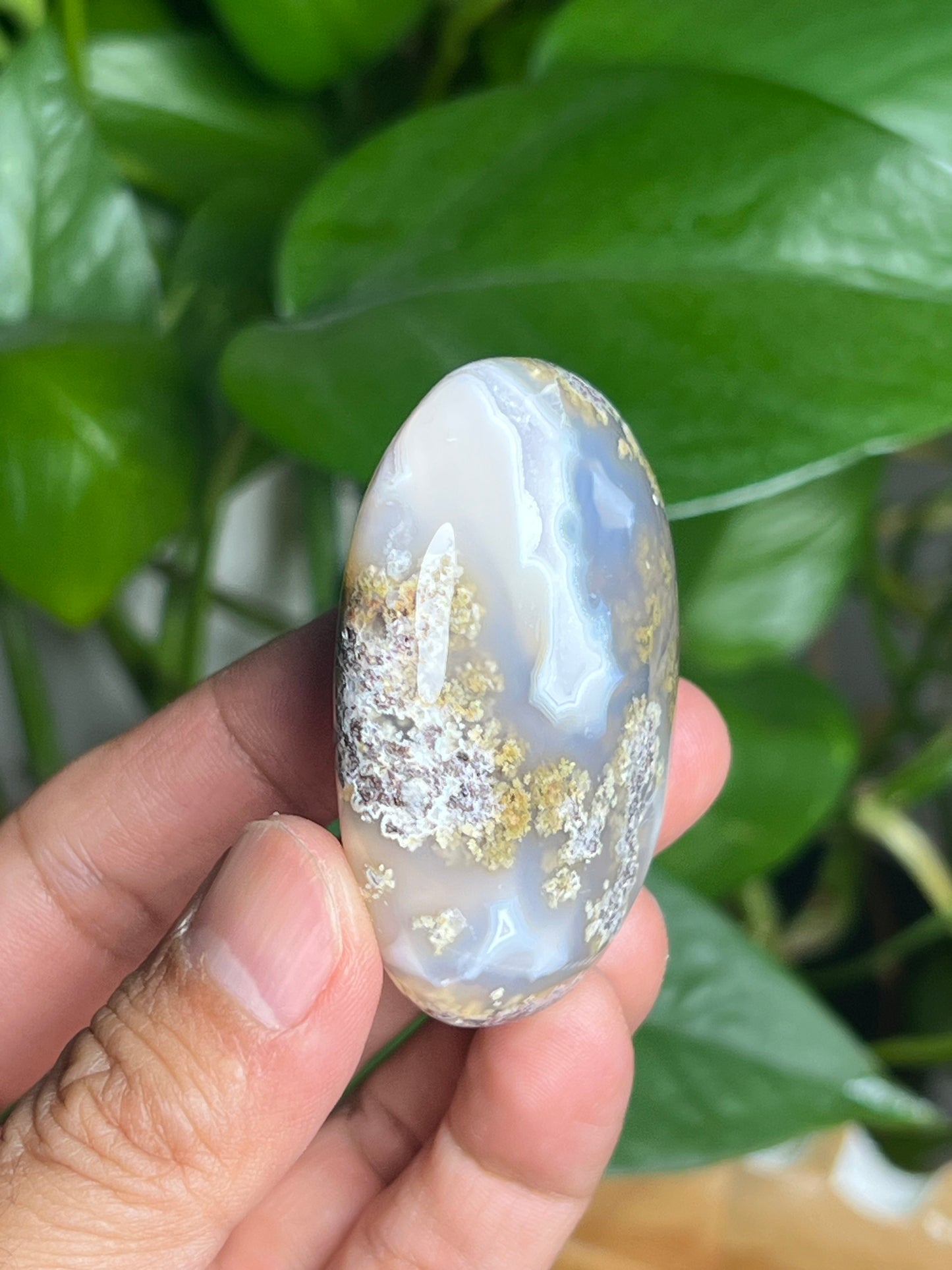 Scenic Moss Agate Palmstone: BQ