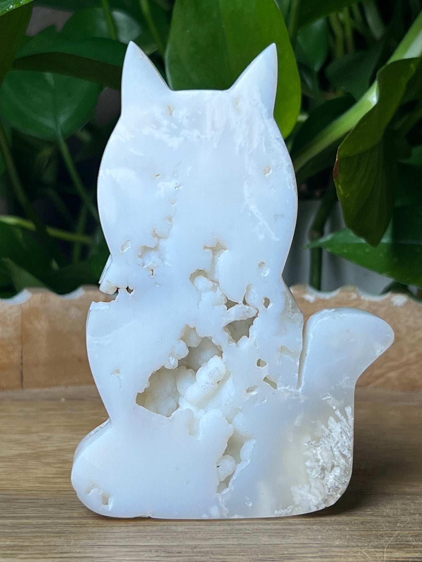 White Plume Agate Cat