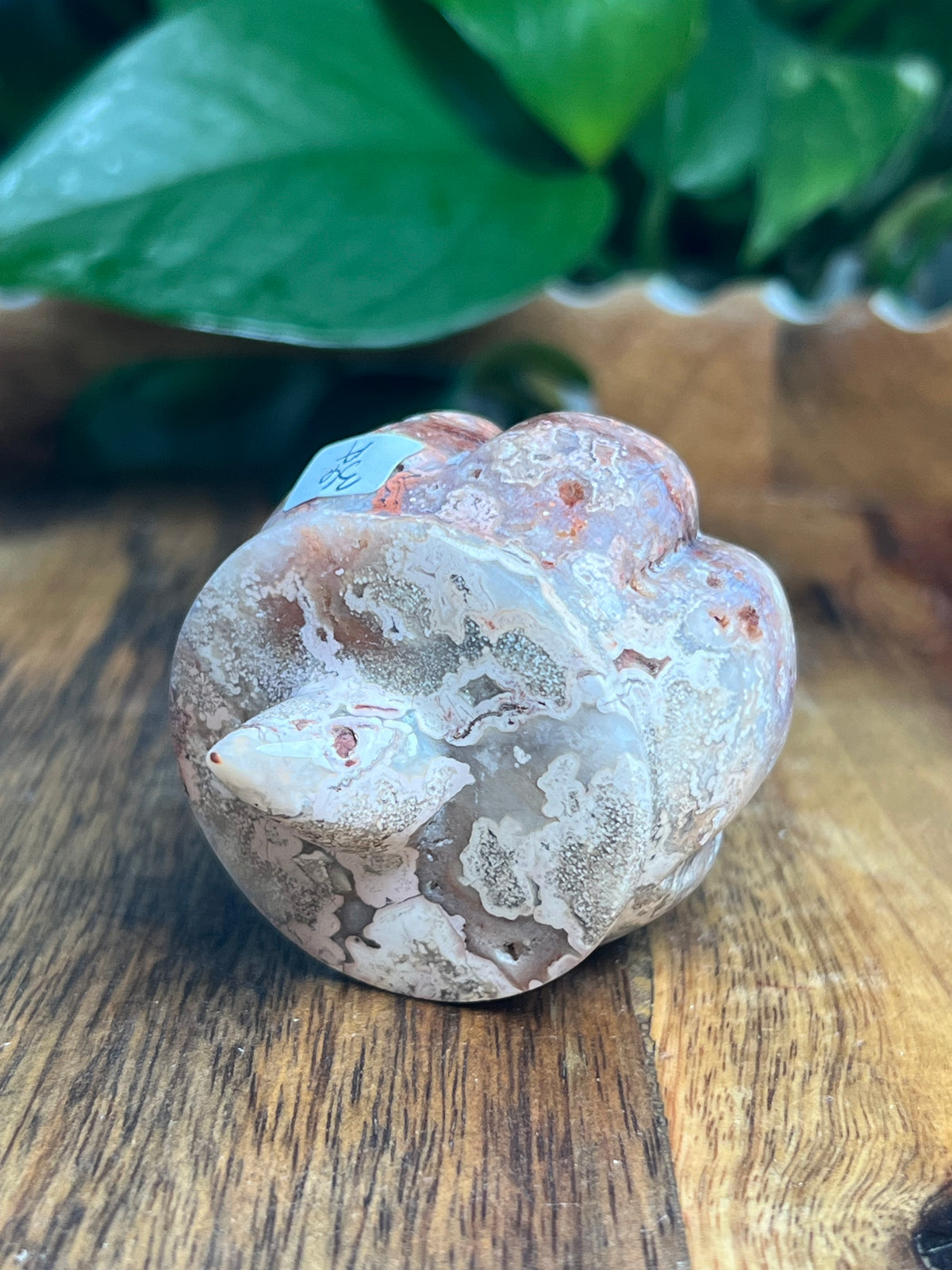 Crazy Lace Agate Pumpkin: A