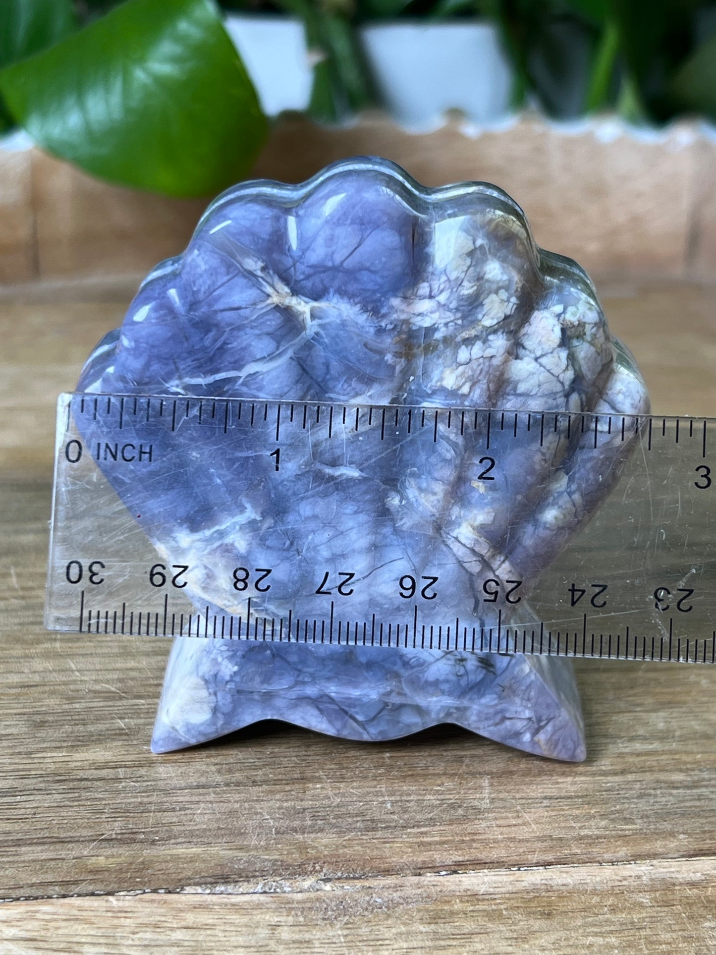 Purple Chalcedony Shell