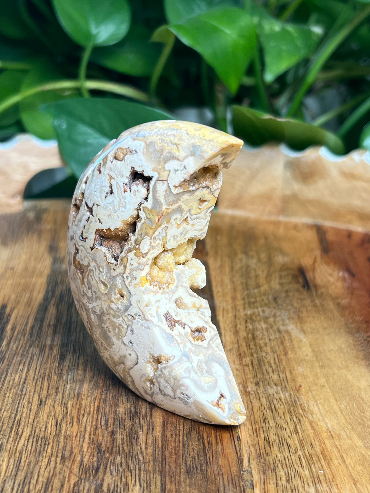 Crazy Lace Agate Self Standing Moon: CE
