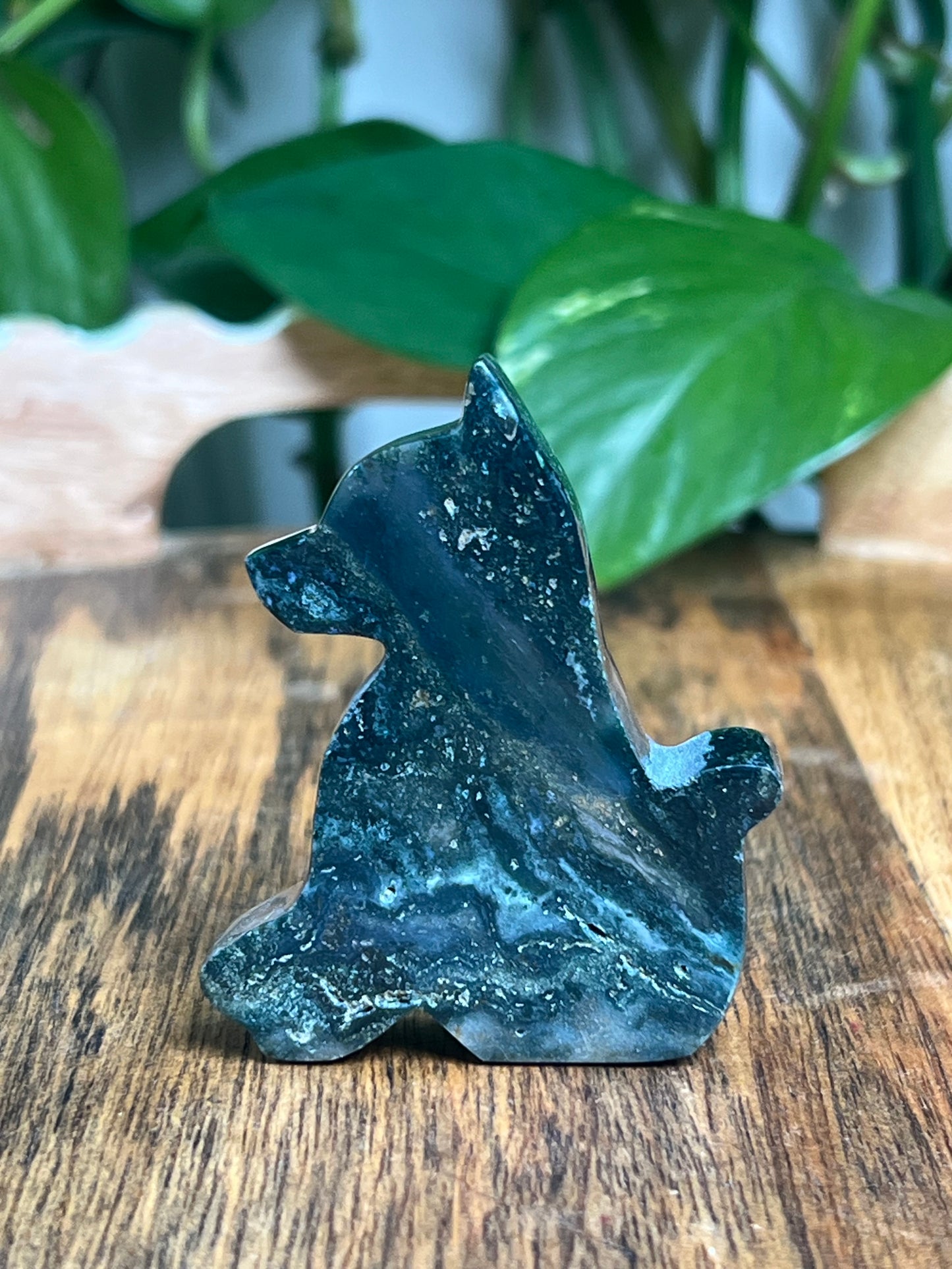 Blue Green Jasper Dog: AB