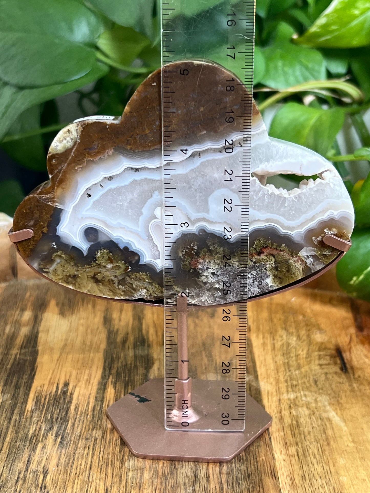 Scenic Moss Agate Cloud