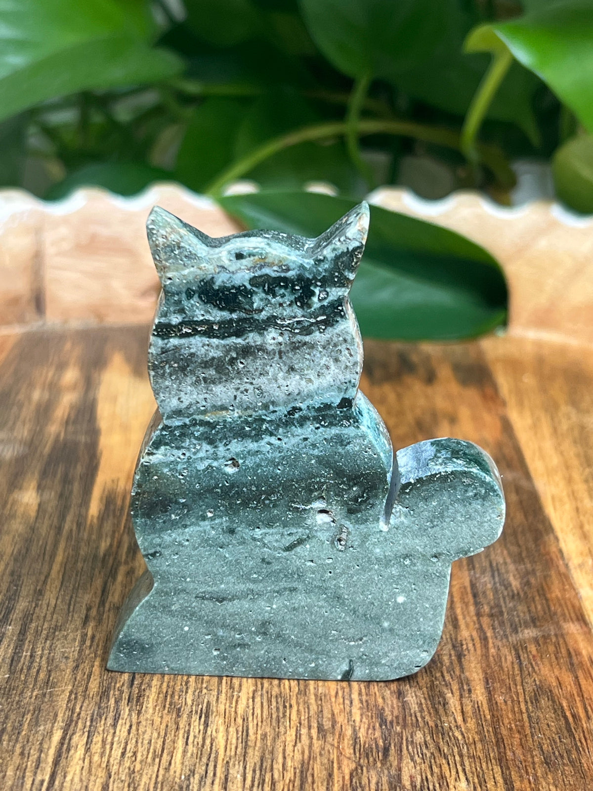Blue Green Jasper Cat: HC