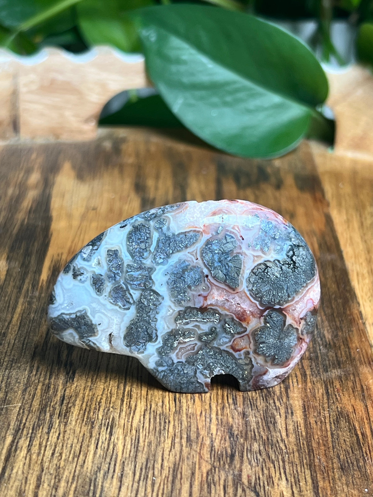 Marcasite Mini Bear: Bi