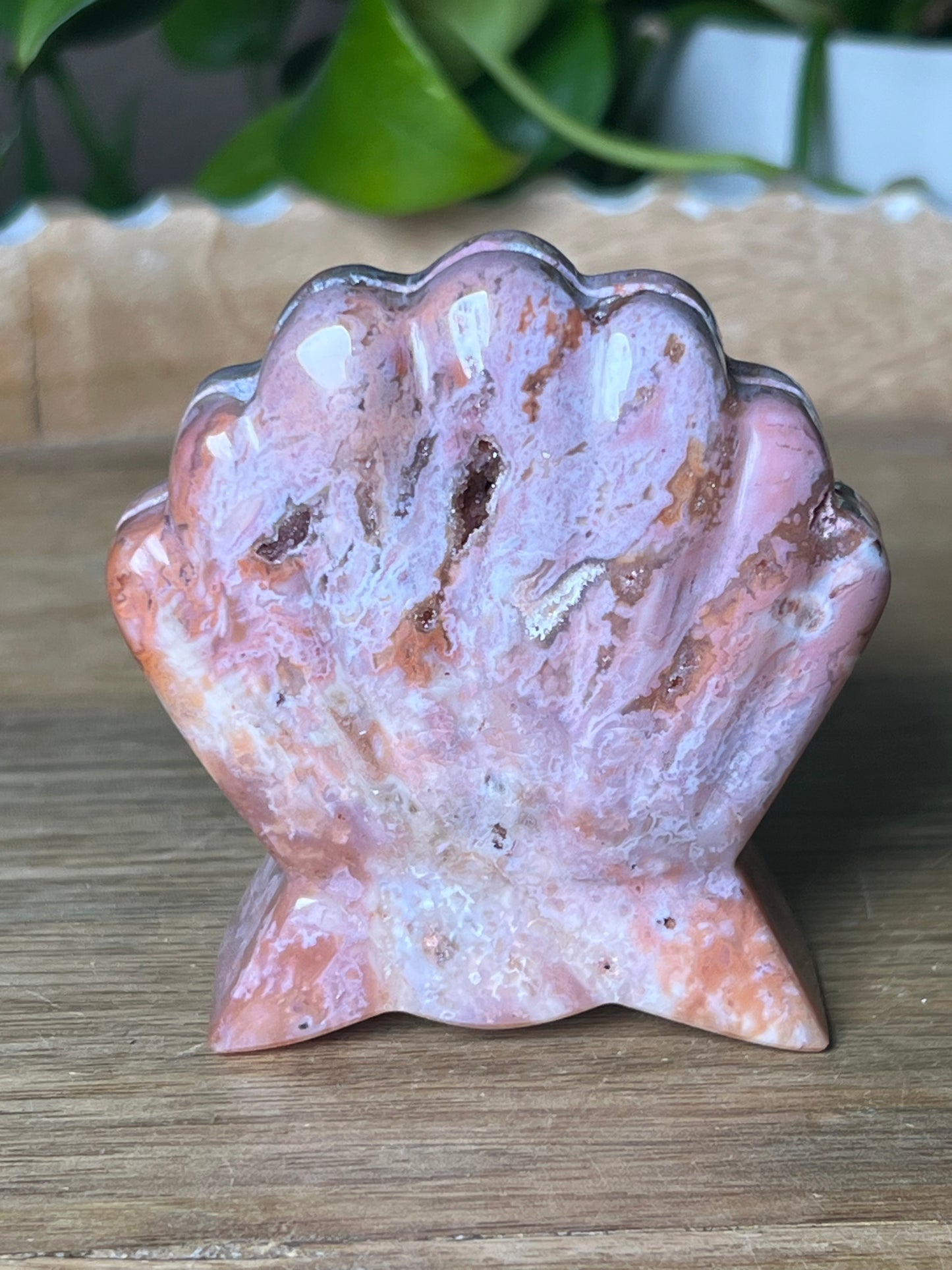 Pink Carnelian Shell