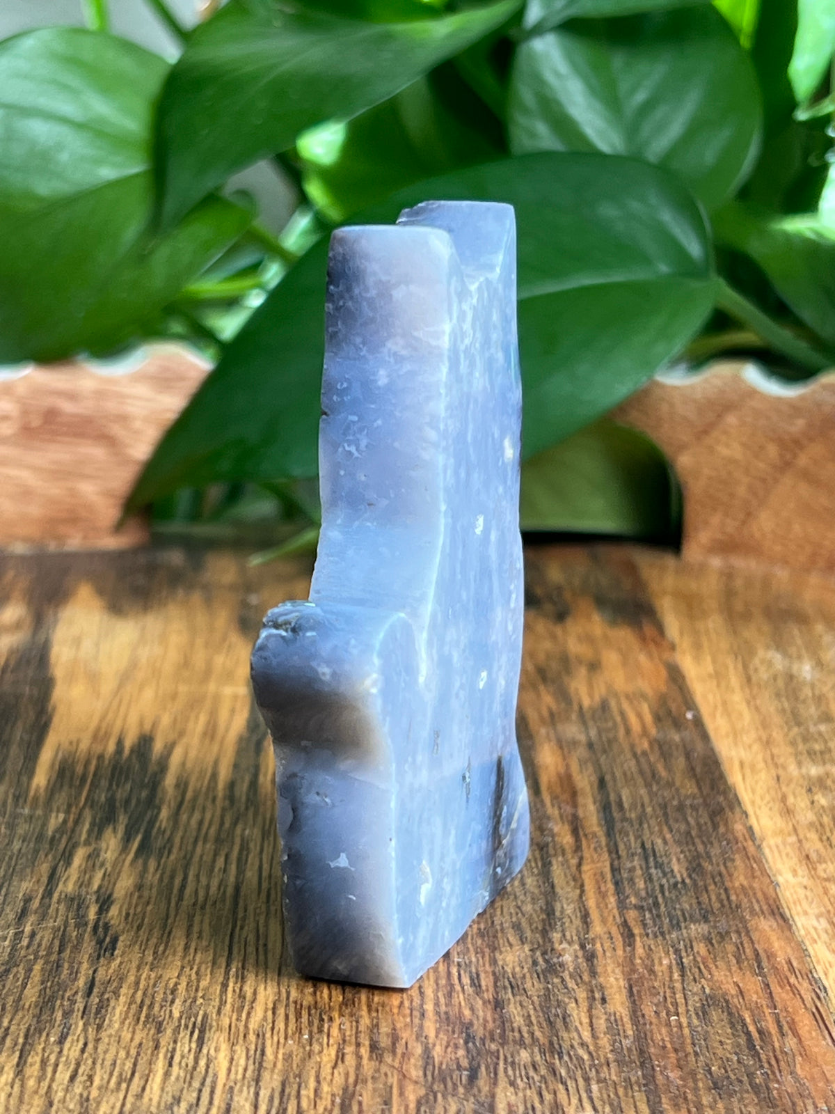 Blue Plume Agate Cat: BC