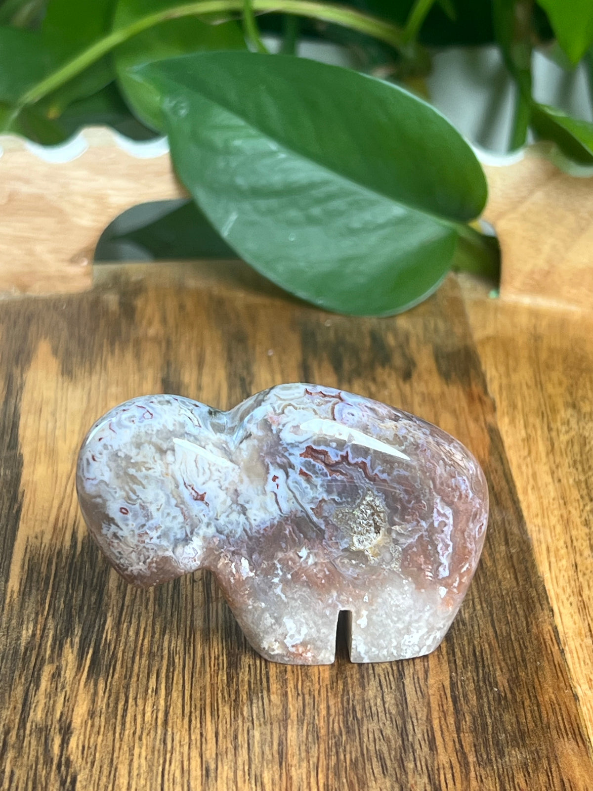 Sumatra Plume Agate Mini Buffalo: DB