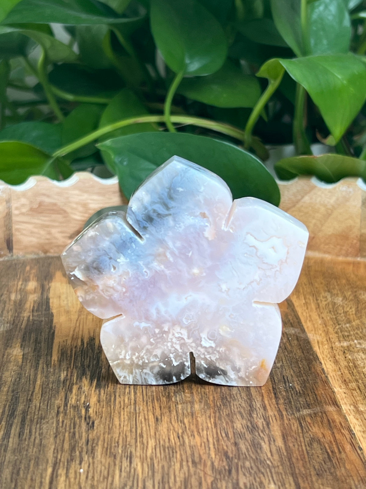 Rainbow Plume Agate Flower: PE