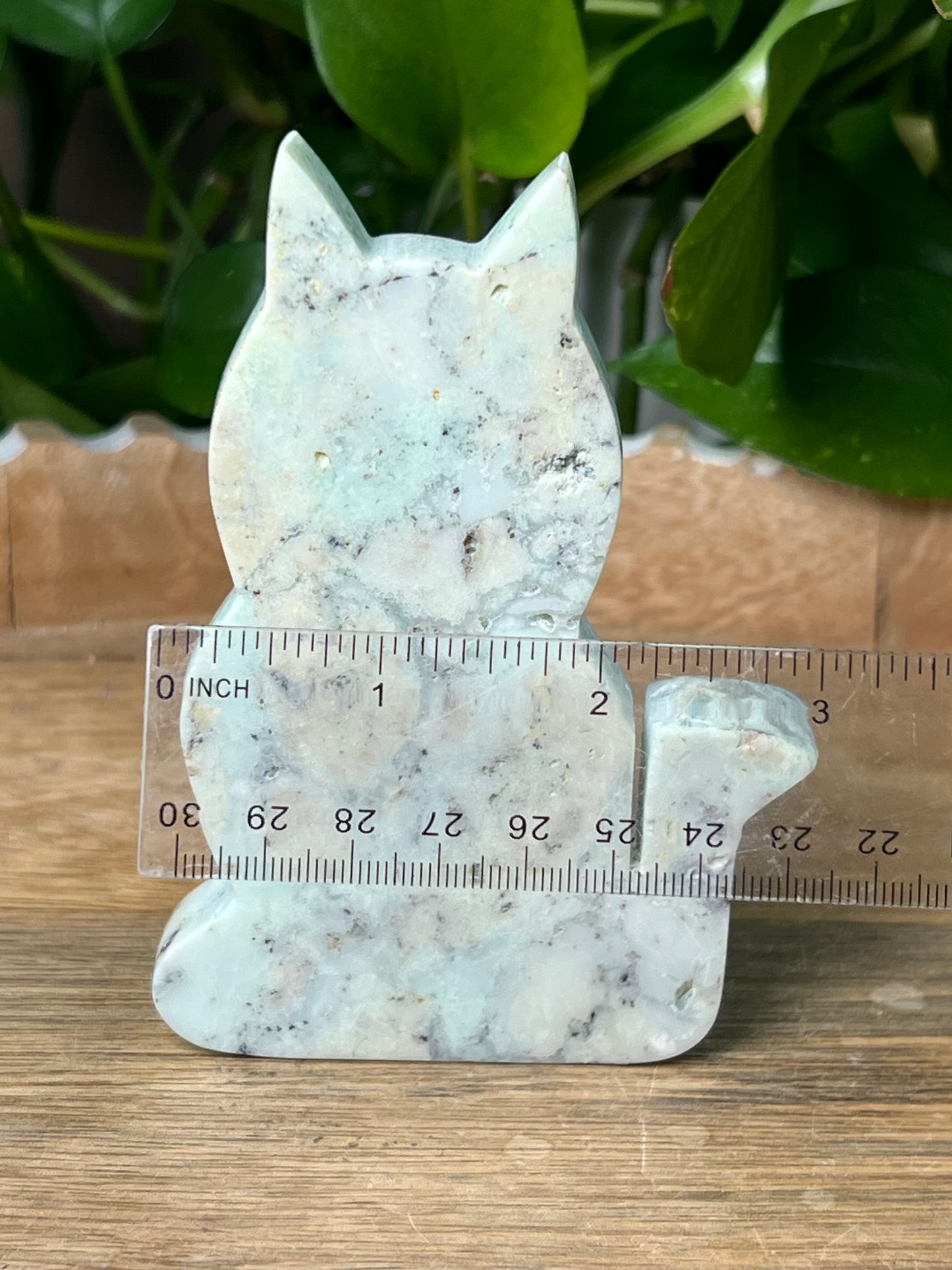 Chrysoprase Cat