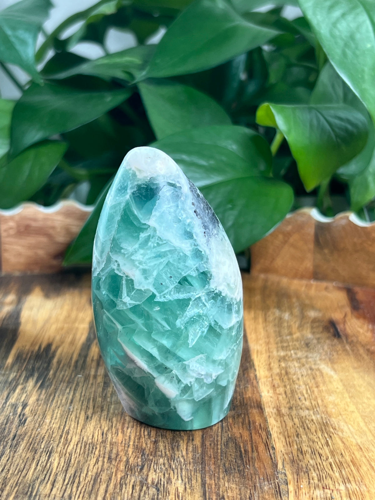 Mexican Flourite Freeform: K