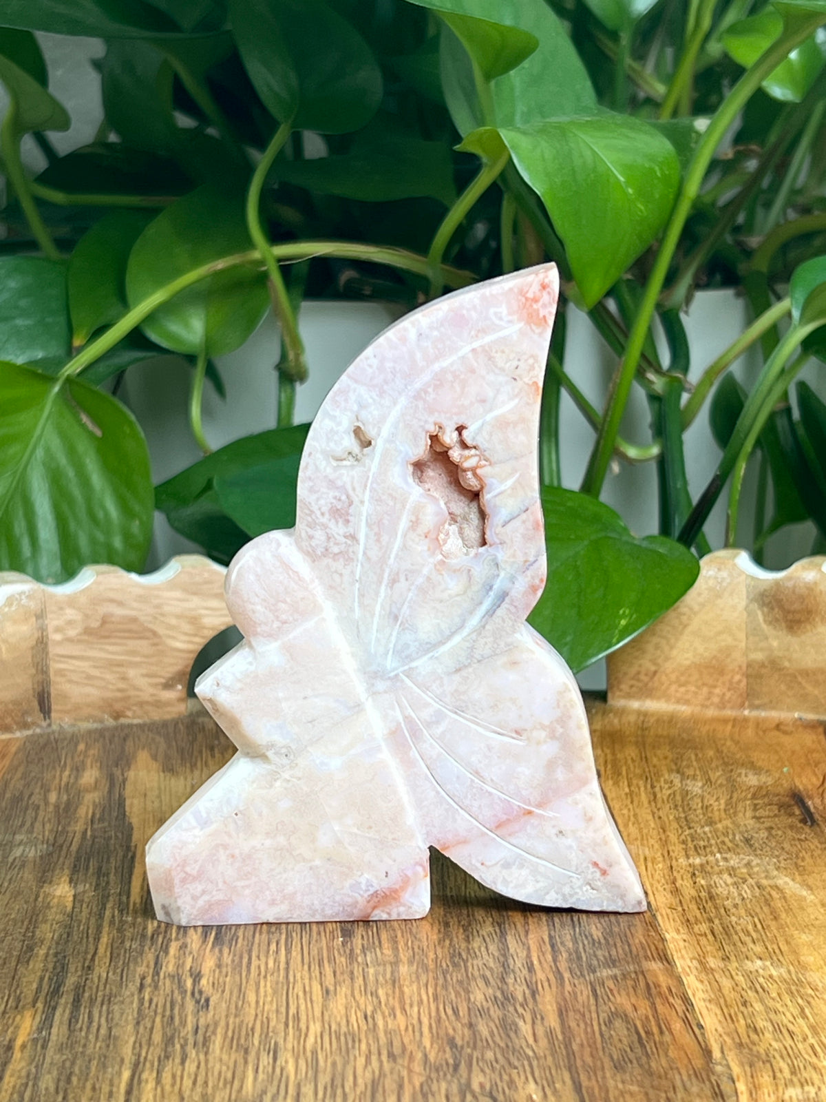 Pink Carnelian Fairy: D