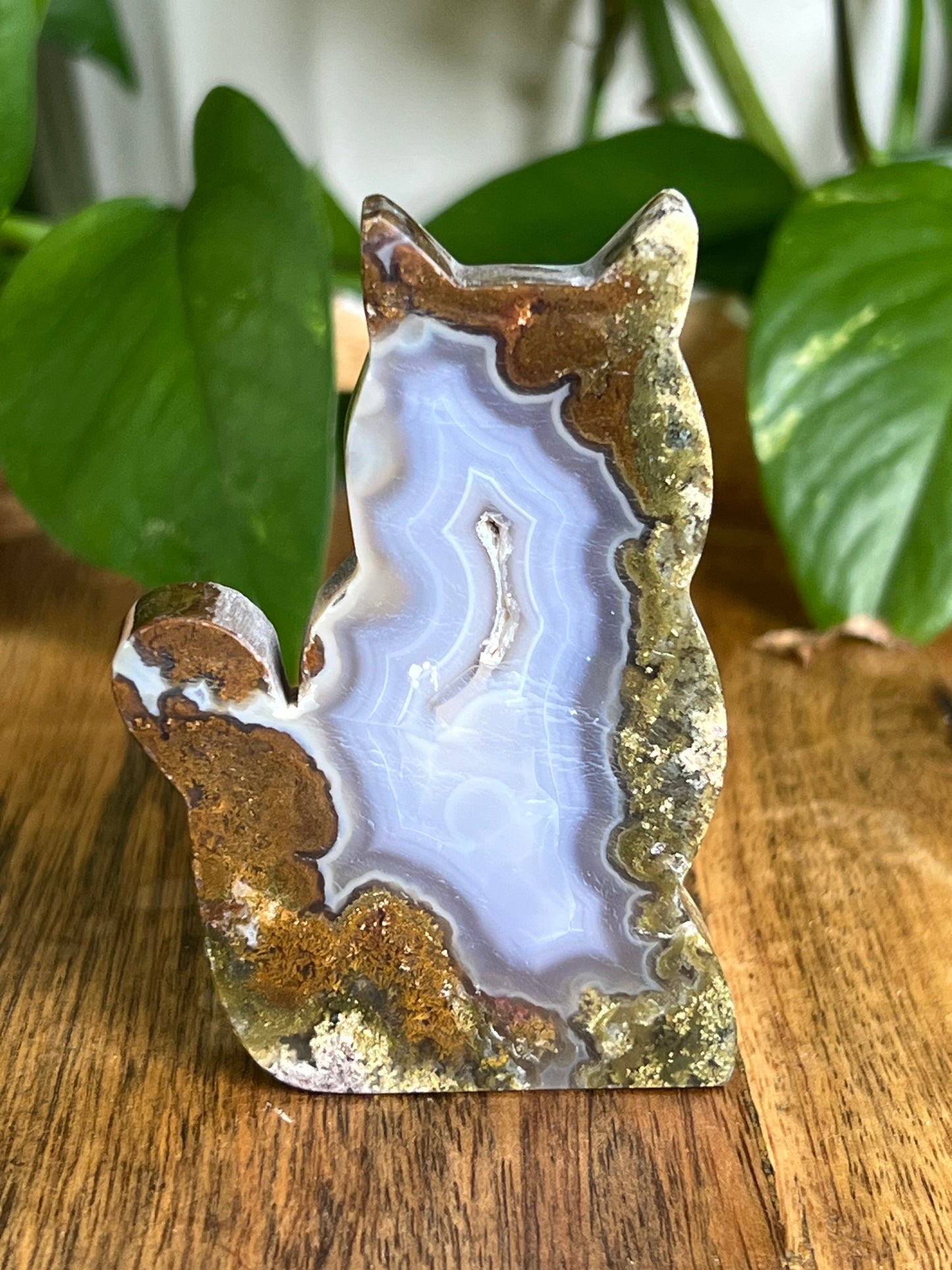 Scenic Moss Agate Cat HK