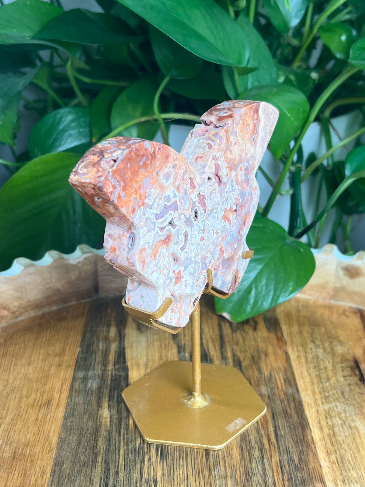 Crazy Lace Agate Butterfly: PE