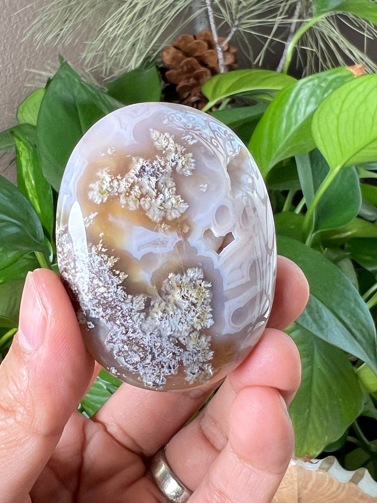 Scenic Moss Agate Palmstone