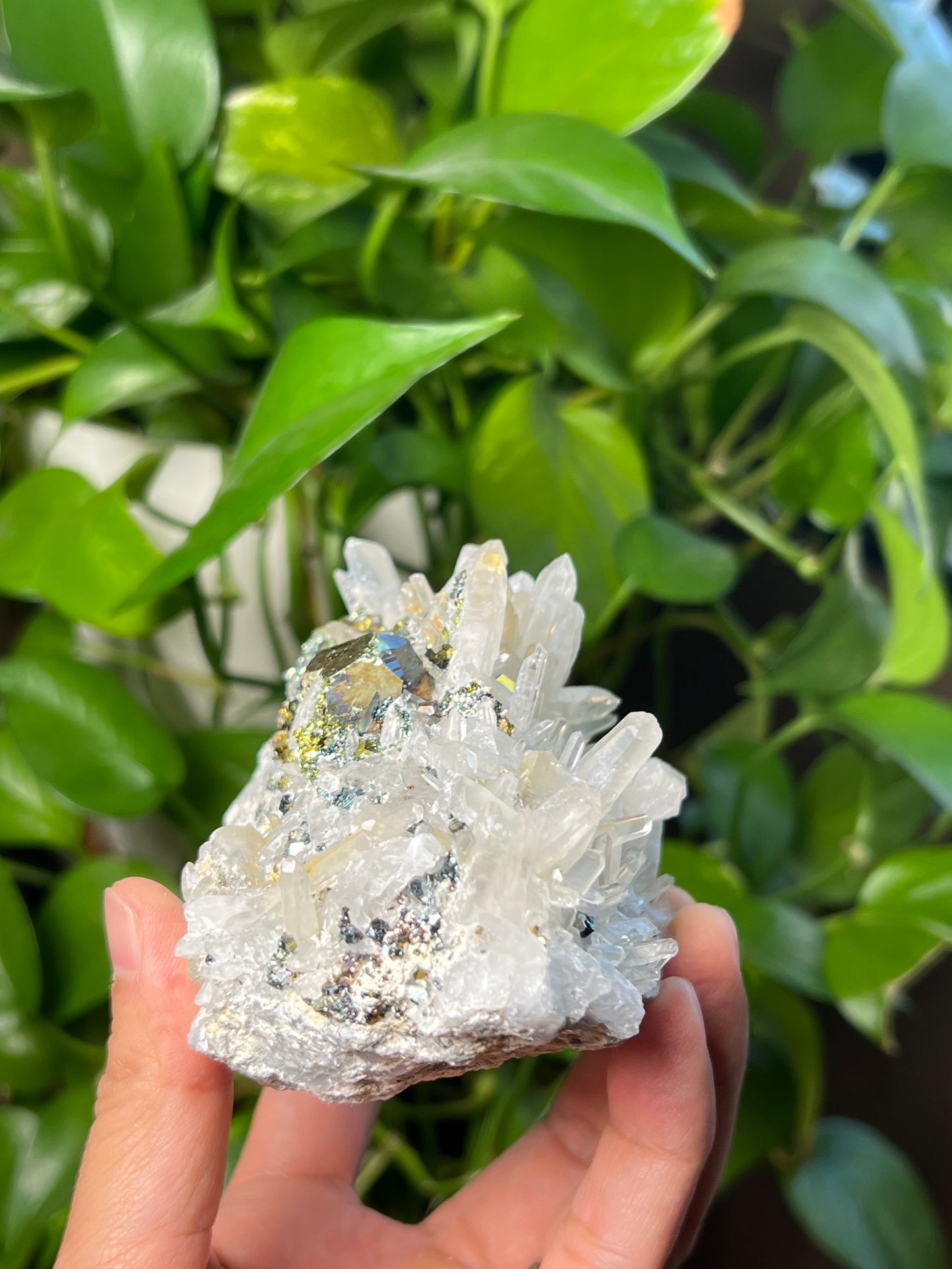 Rainbow Pyrite Quartz