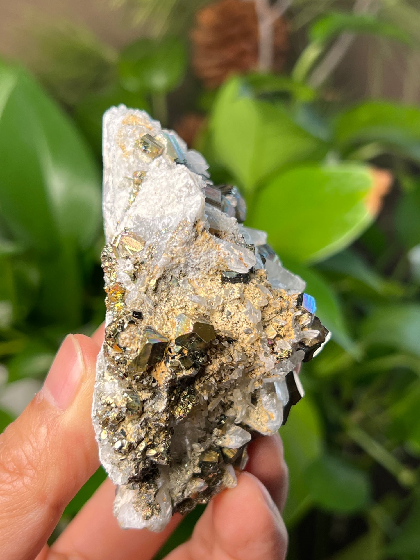 Rainbow Pyrite Quartz