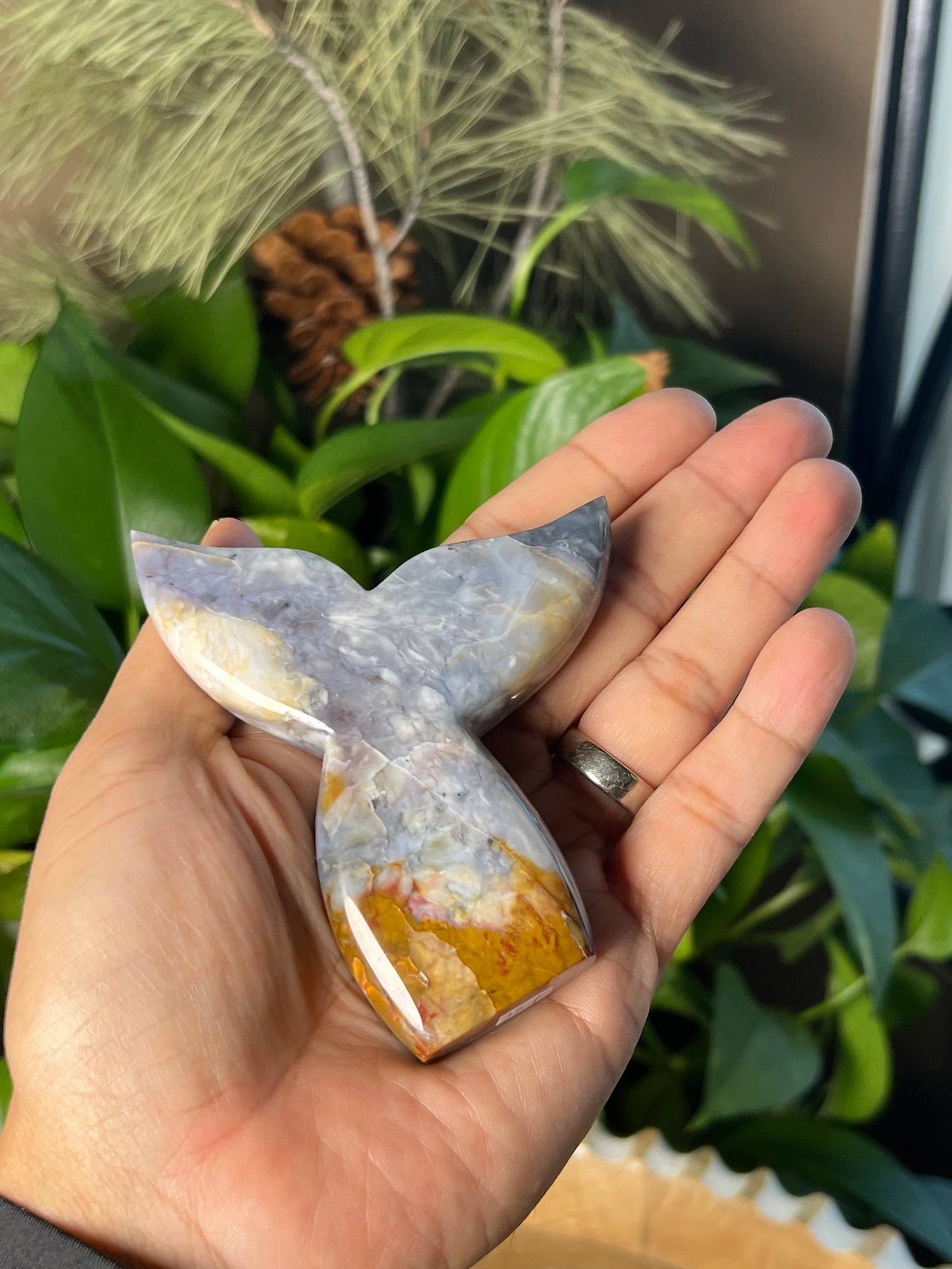 Purple Chalcedony Tail
