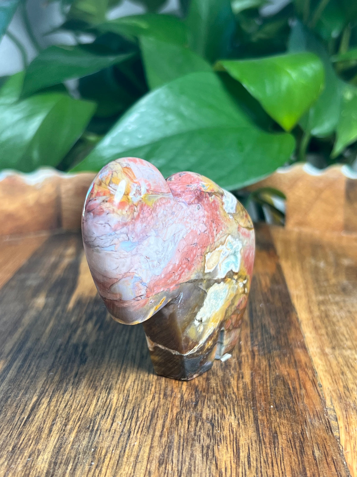 River Jasper Buffalo: RS