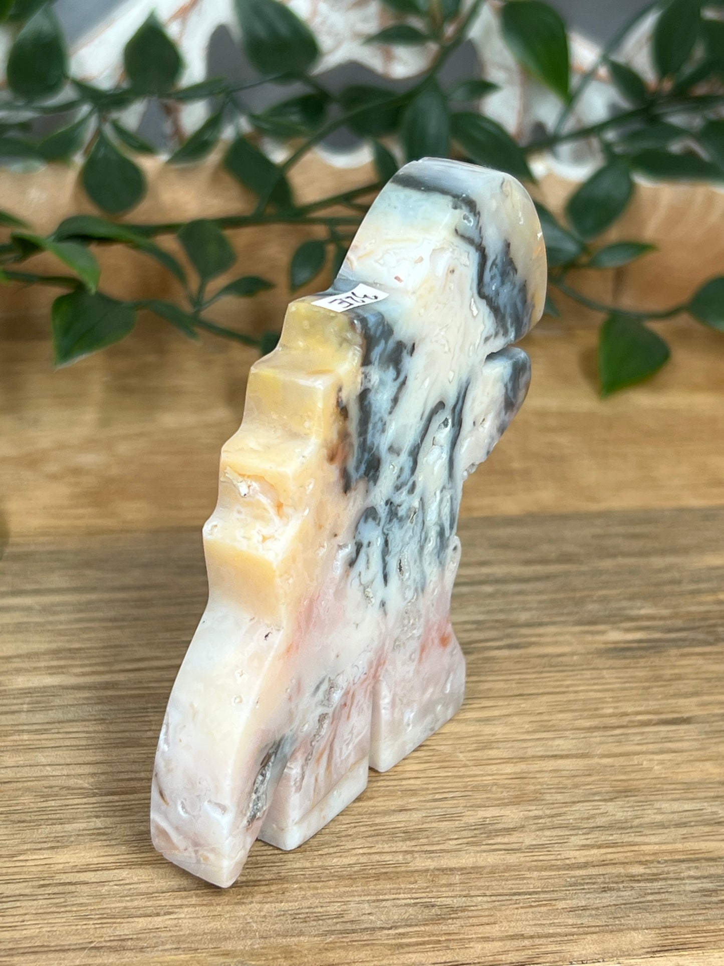 Rainbow Plume Agate Dinosaurus