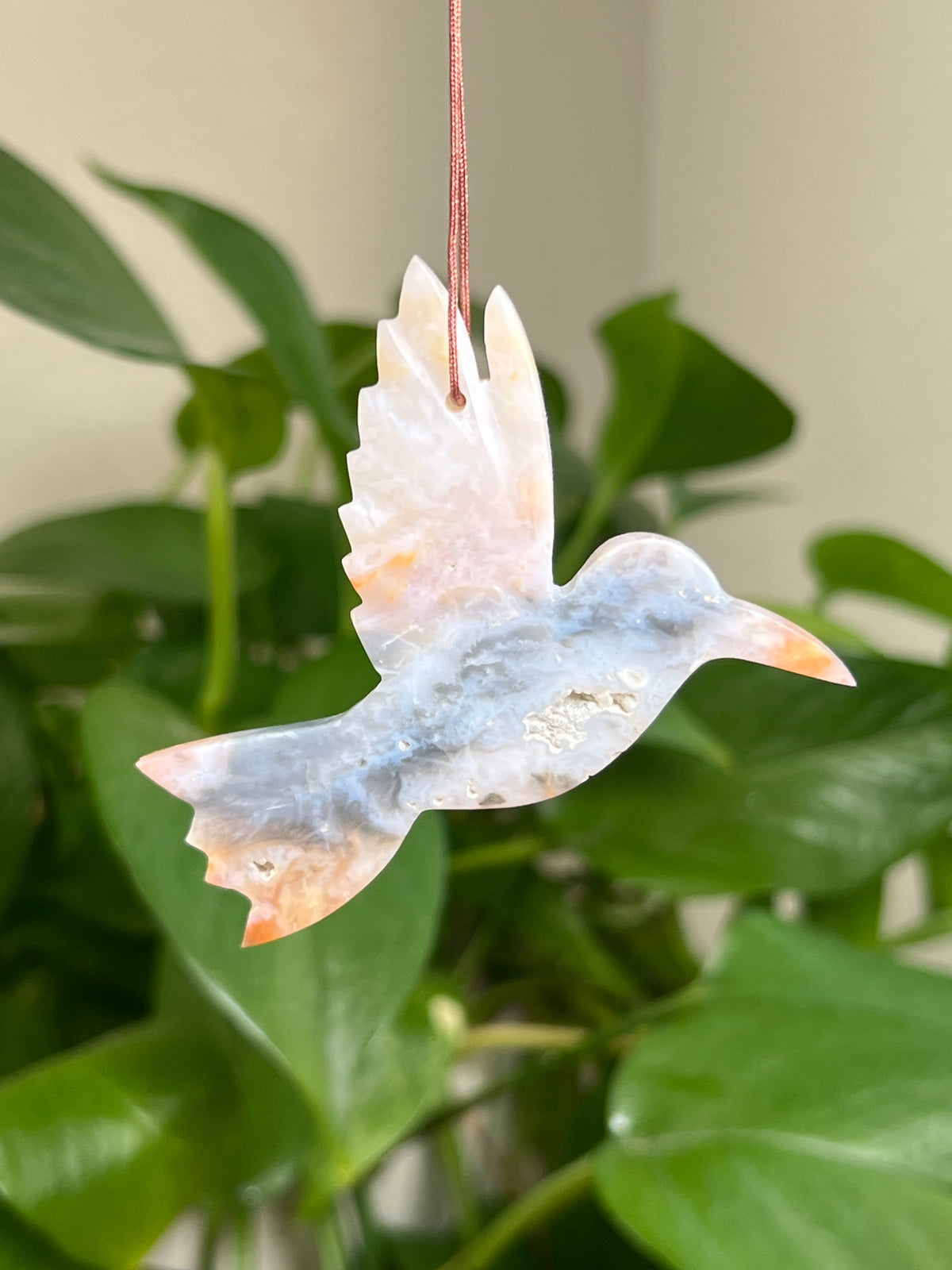 Rainbow Plume Agate Hummingbird: LC