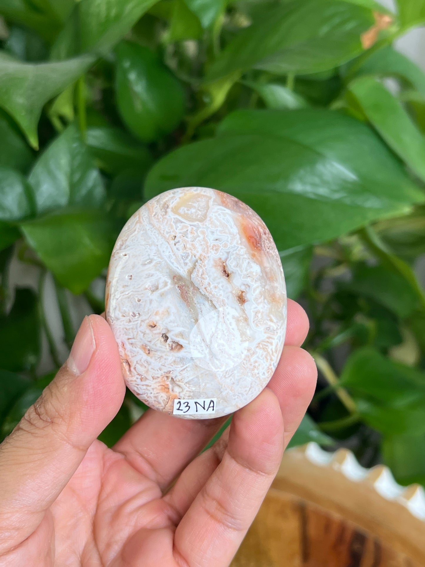 Tube Agate Palmstone: NA