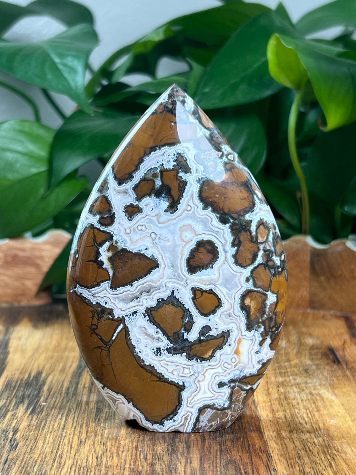 Brecciated Jasper Flame: C