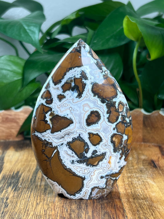 Brecciated Jasper Flame: C