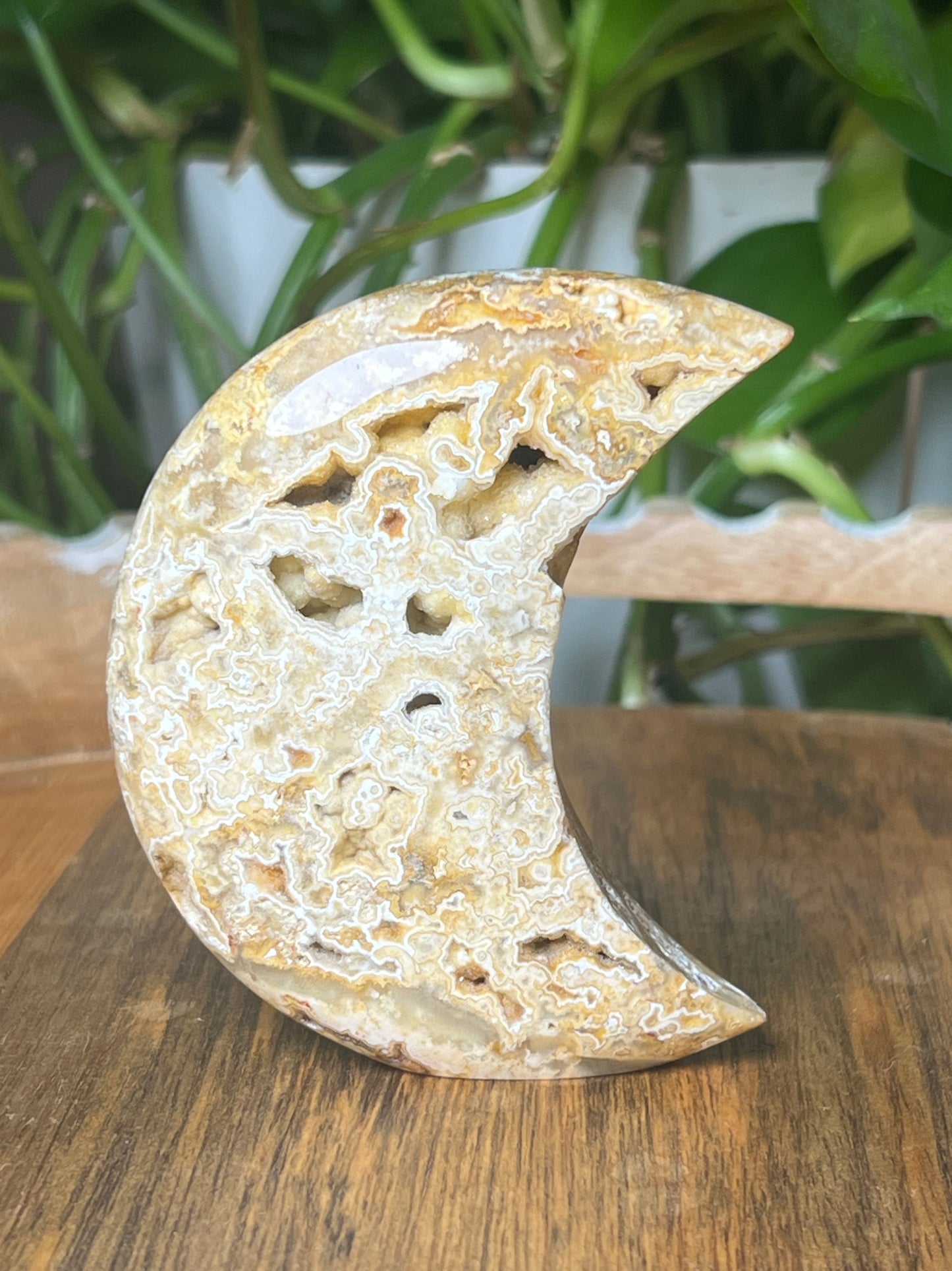 Yellow Crazy Lace Agate Moon