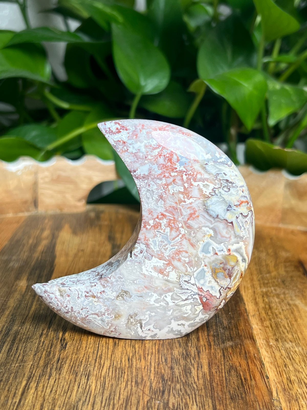Sumatra Plume Agate Self-Standing Moon: SA