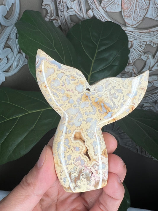 Crazy Lace Agate Tail