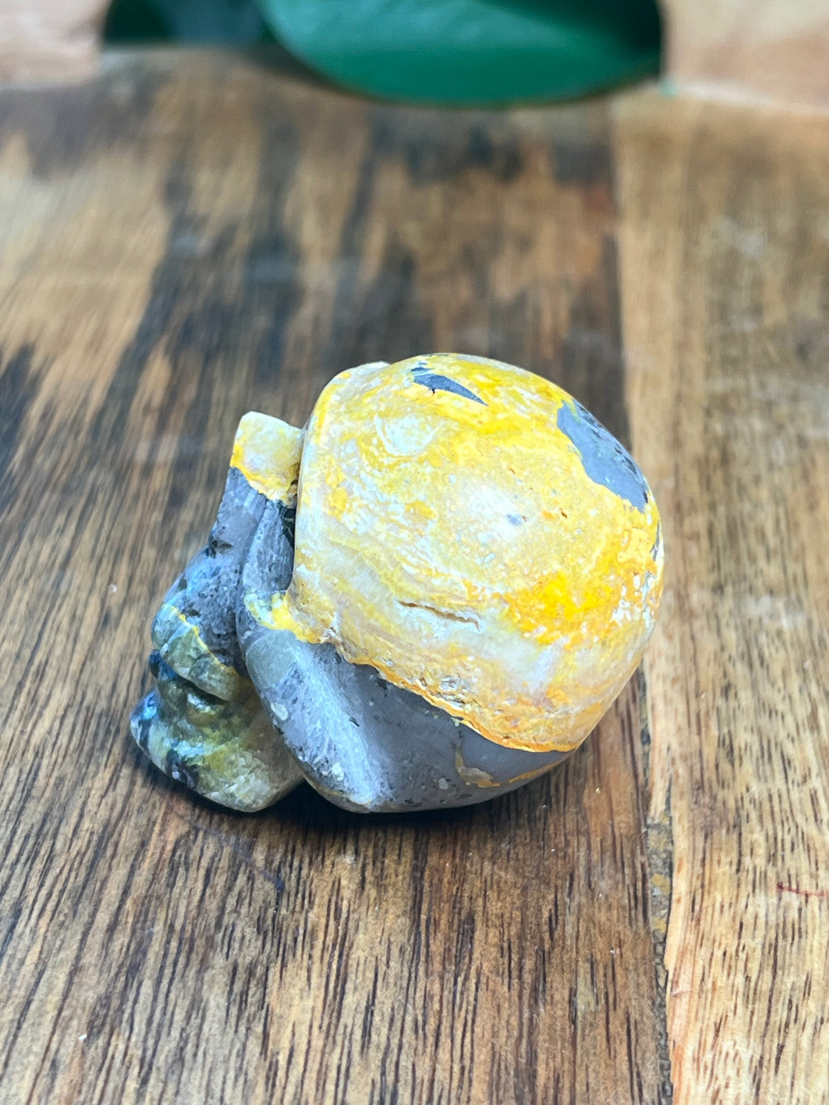 Bumblebee Jasper Mini Skull: G