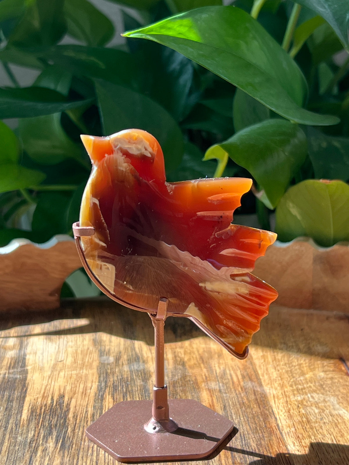 Blue Amber Bird: F