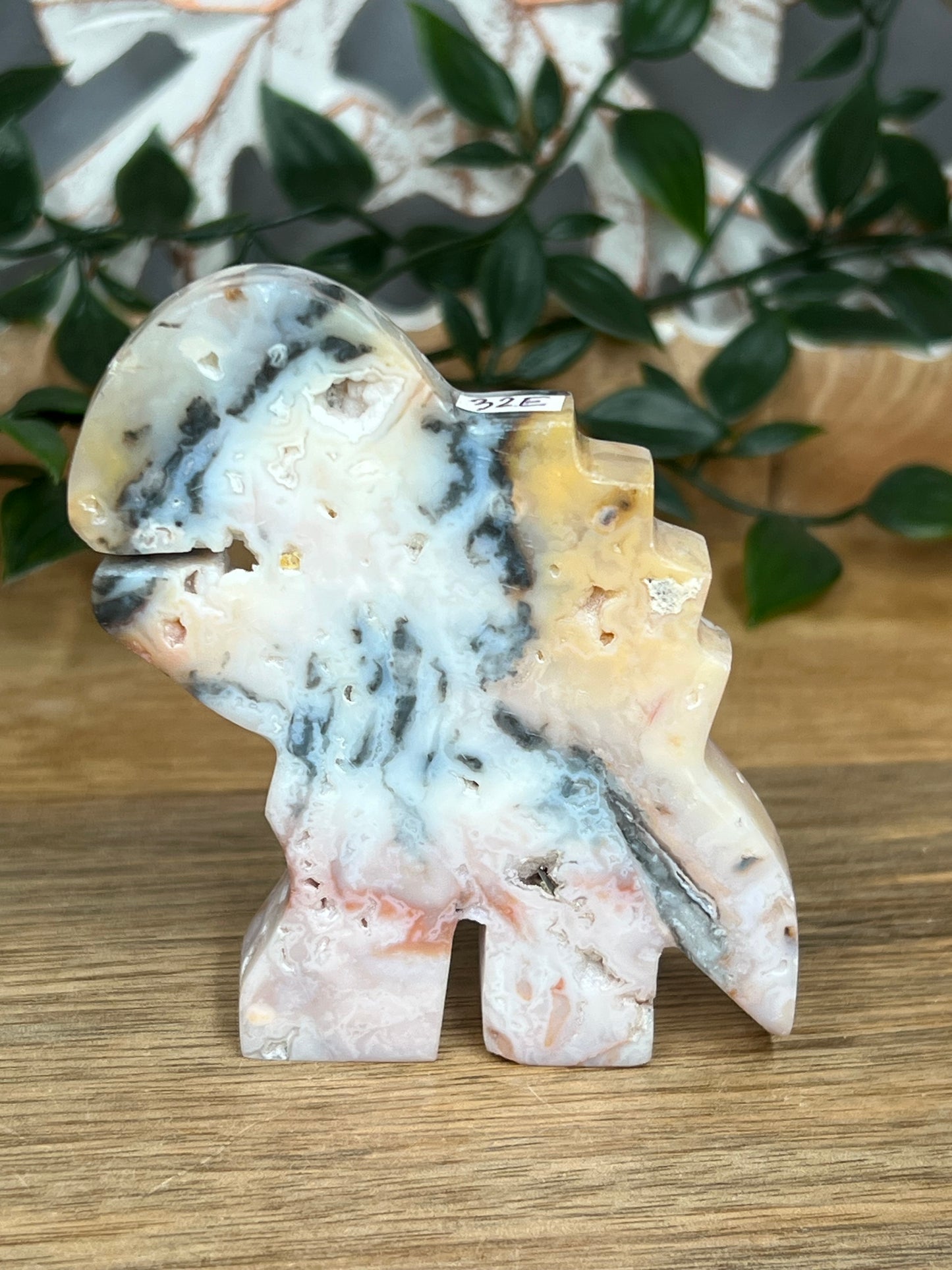 Rainbow Plume Agate Dinosaurus