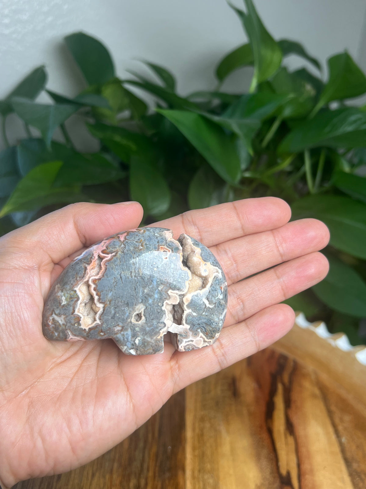 Marcasite Bear: TB