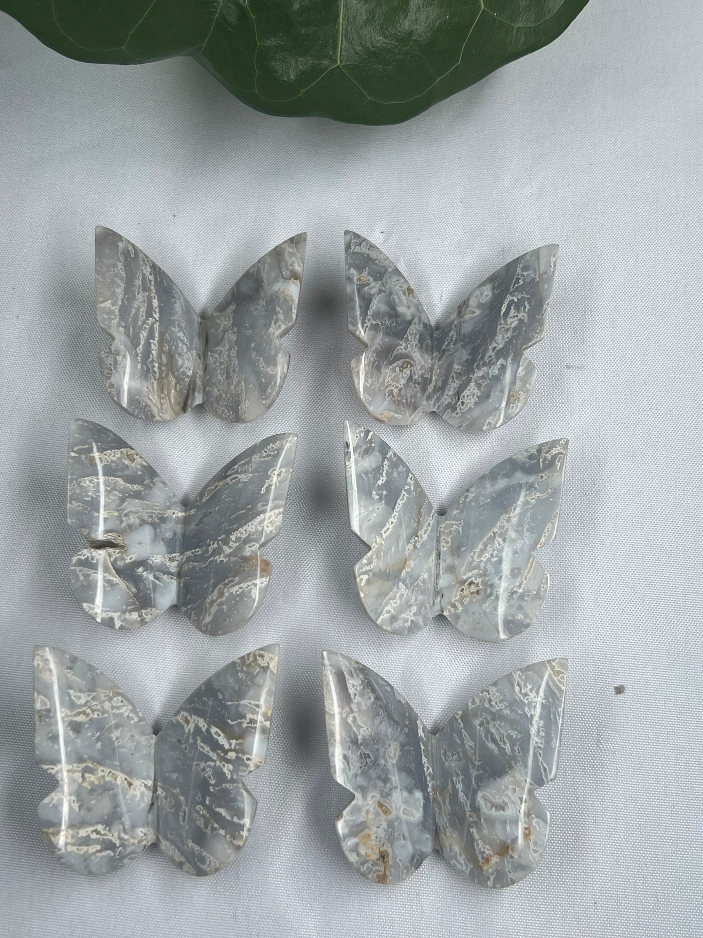 6 pcs Grey Blue Plume Agate 3D Butterfly