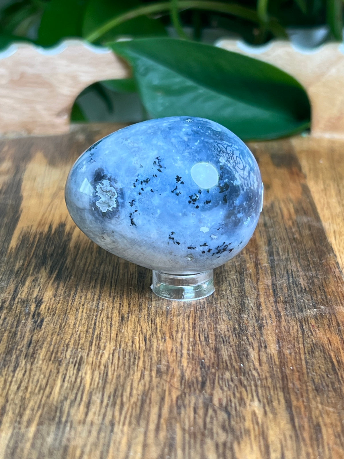 Blue Plume Agate Egg: BB
