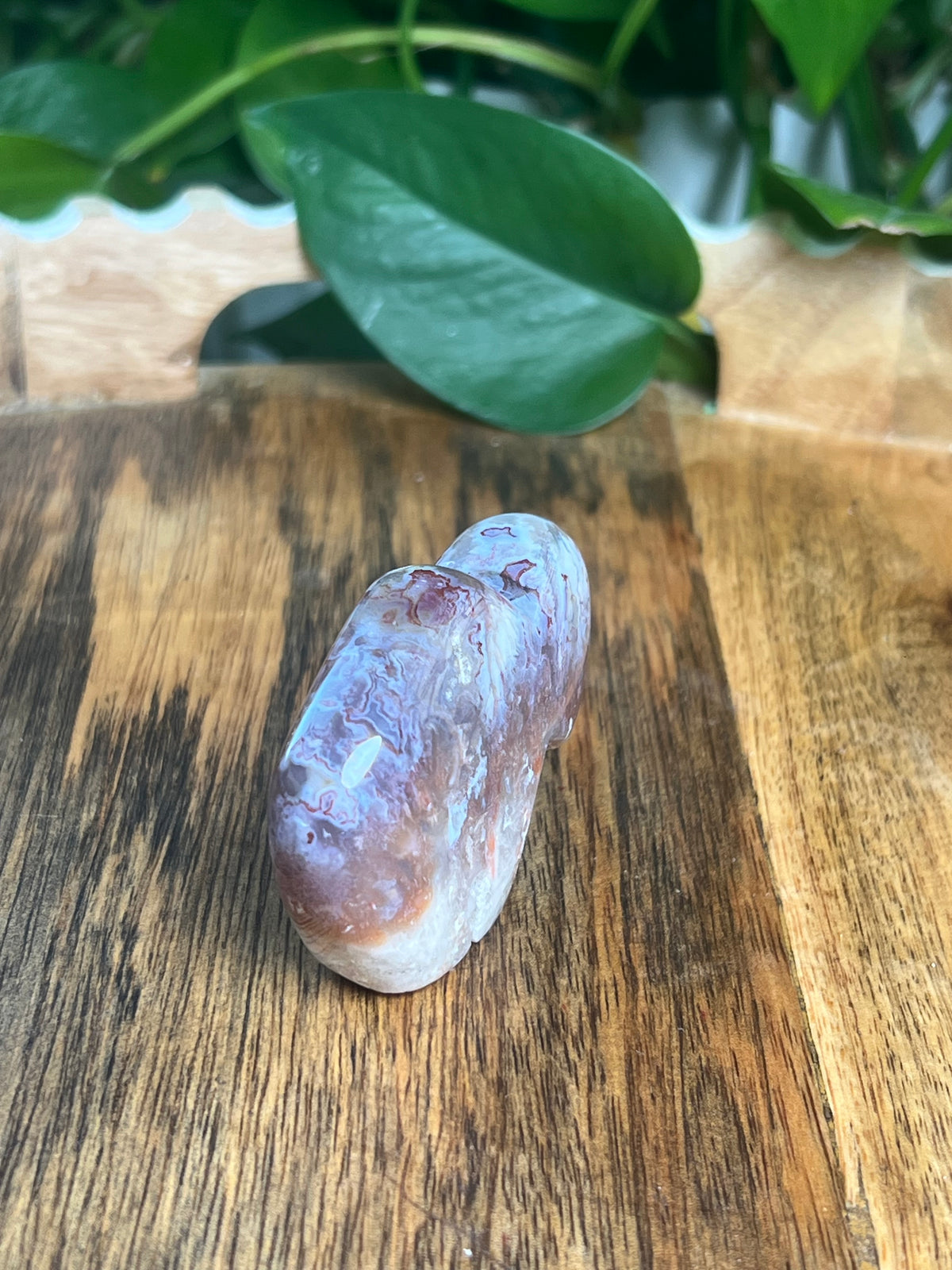 Sumatra Plume Agate Mini Buffalo: DH