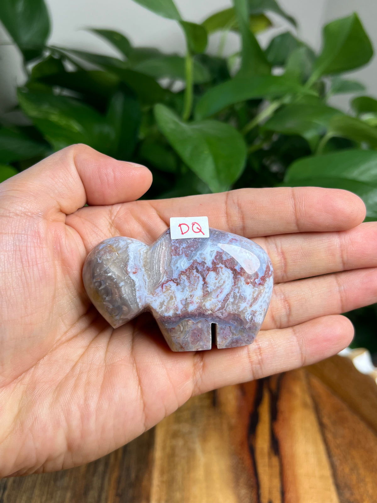 Sumatra Plume Agate Mini Buffalos