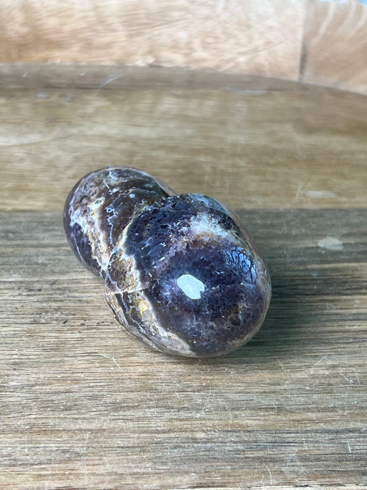 Indonesian Amethyst Mushroom: N