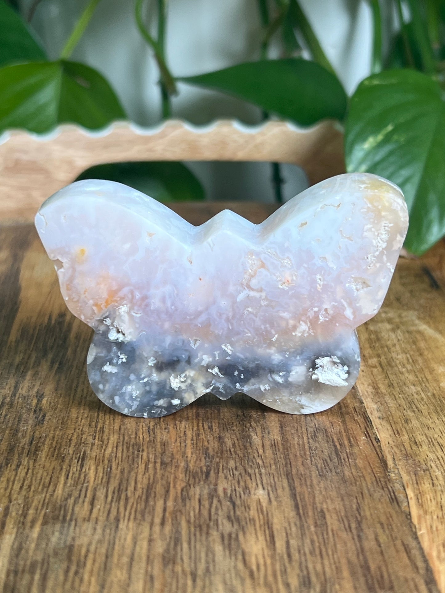 Rainbow Plume Agate Butterfly RQ