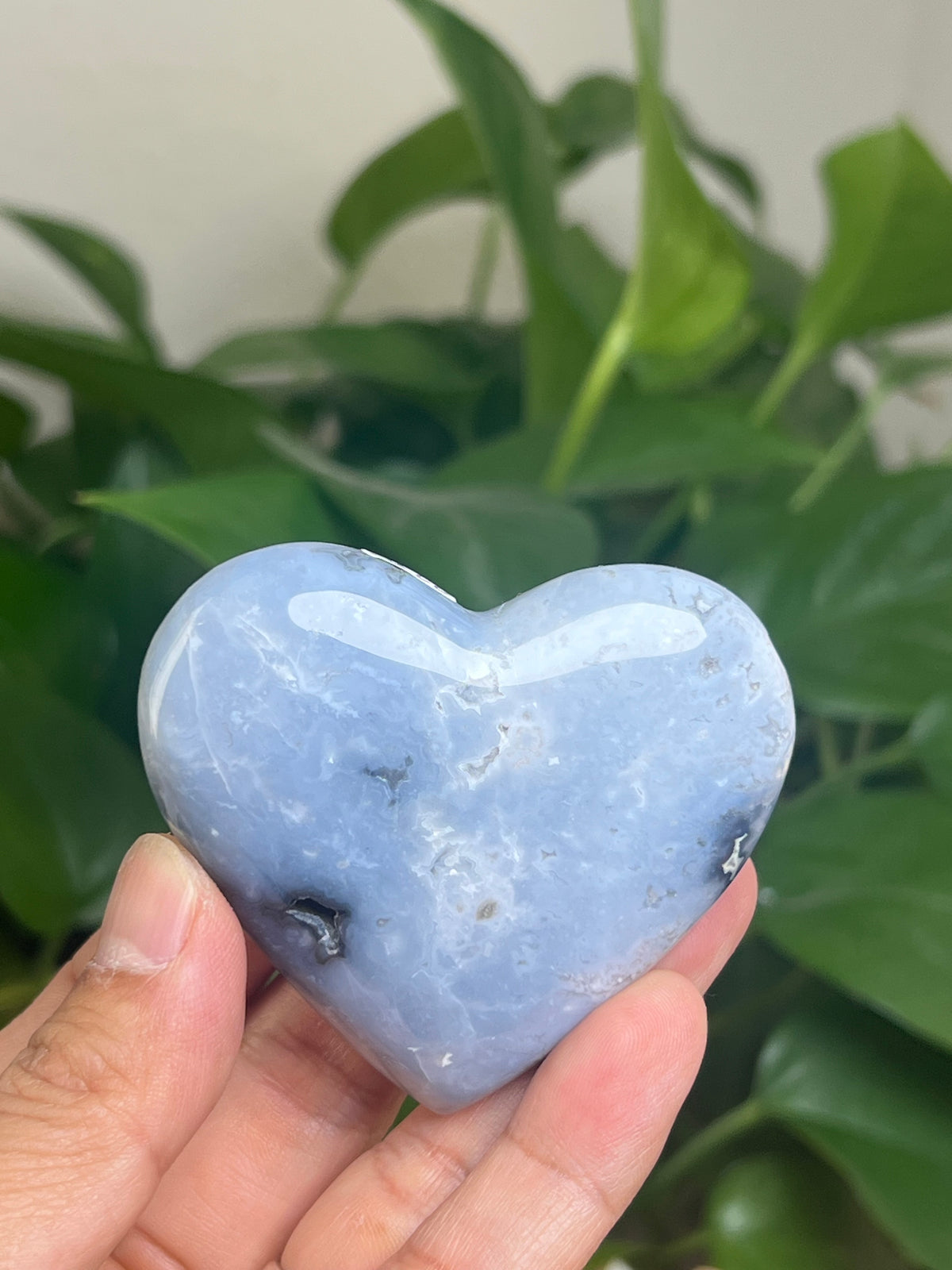 Blue Plume Agate Palmstone: Ri
