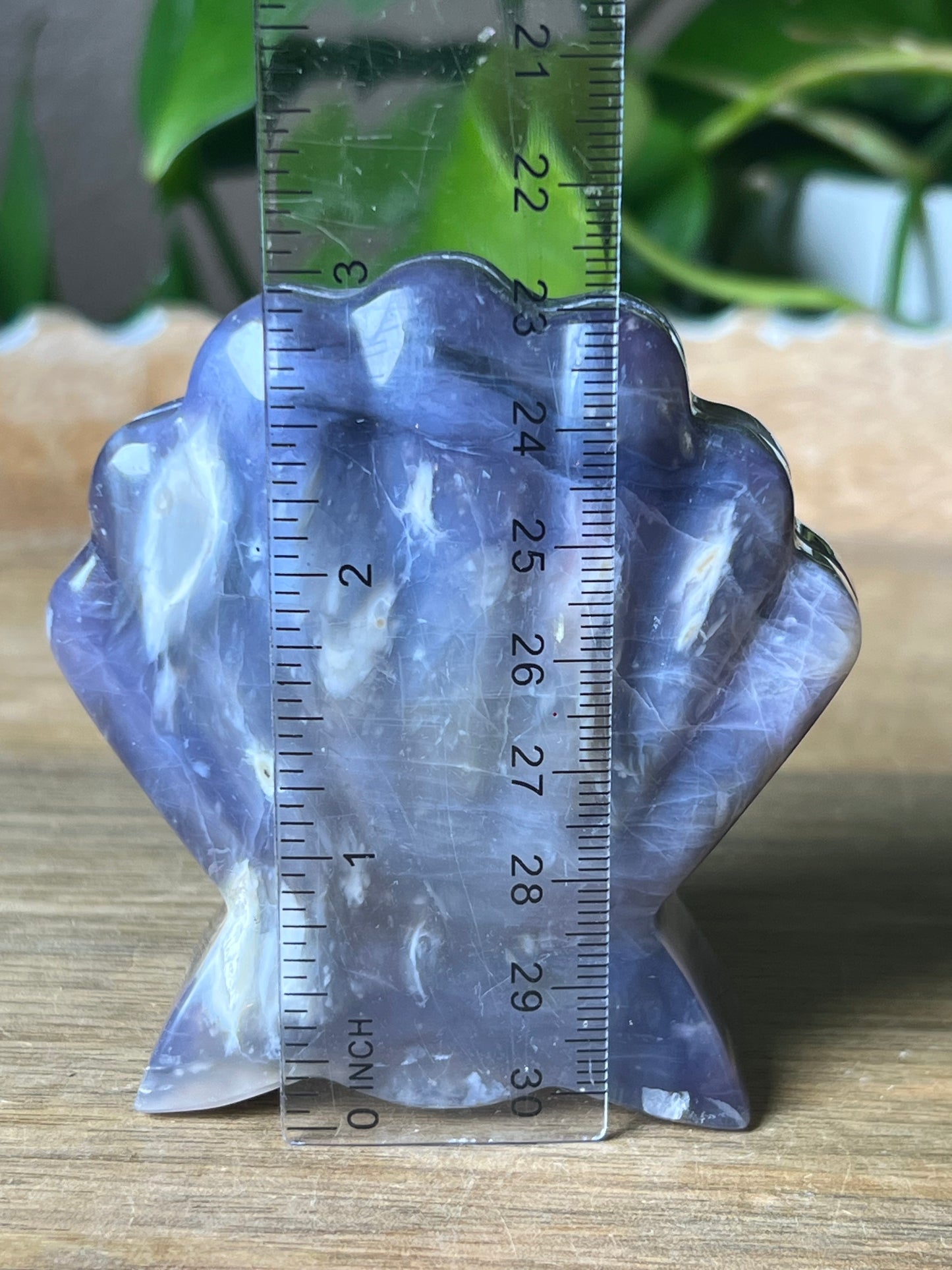 Purple Chalcedony Shell