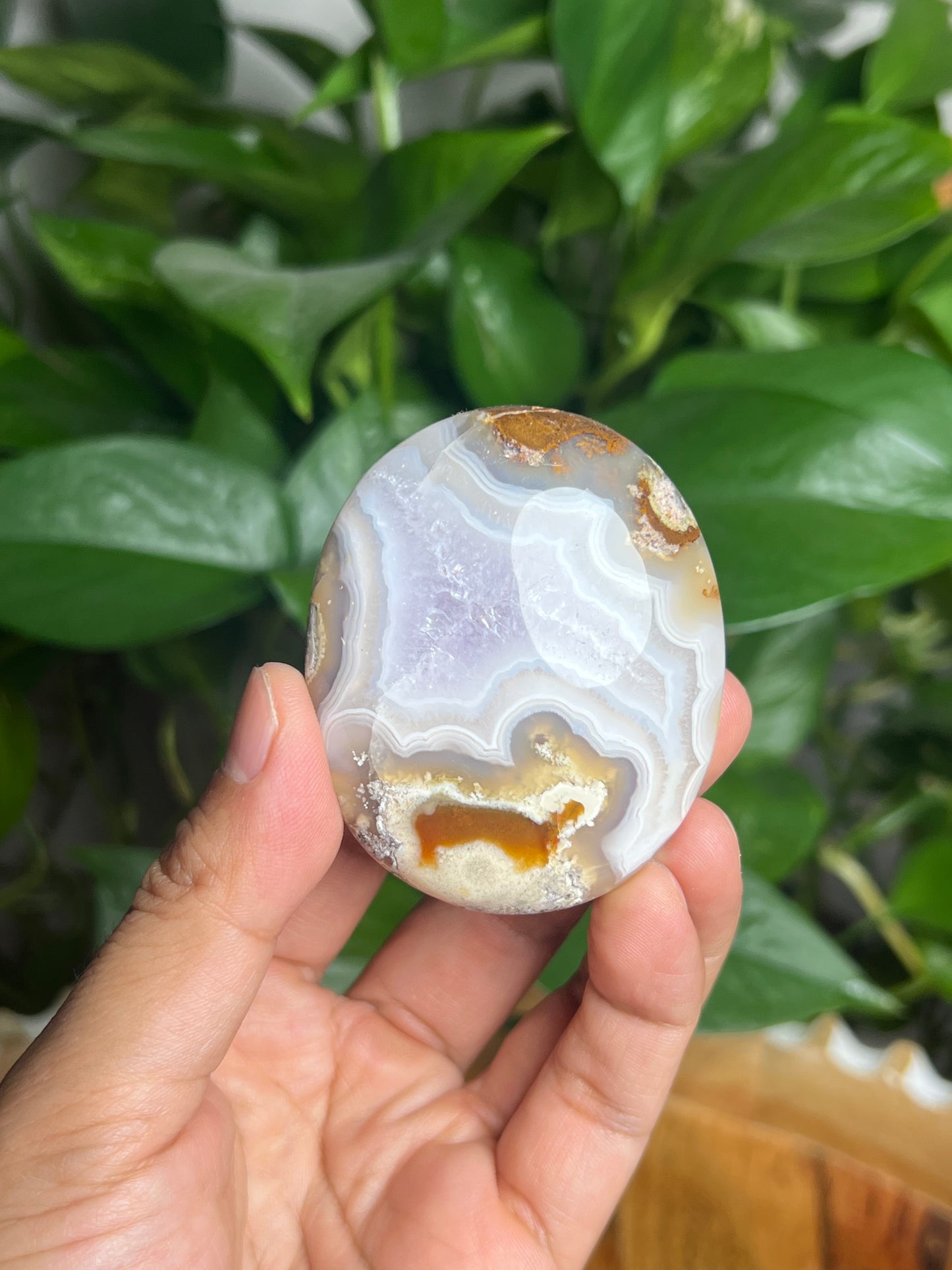 Scenic Moss Agate Palmstone: BC