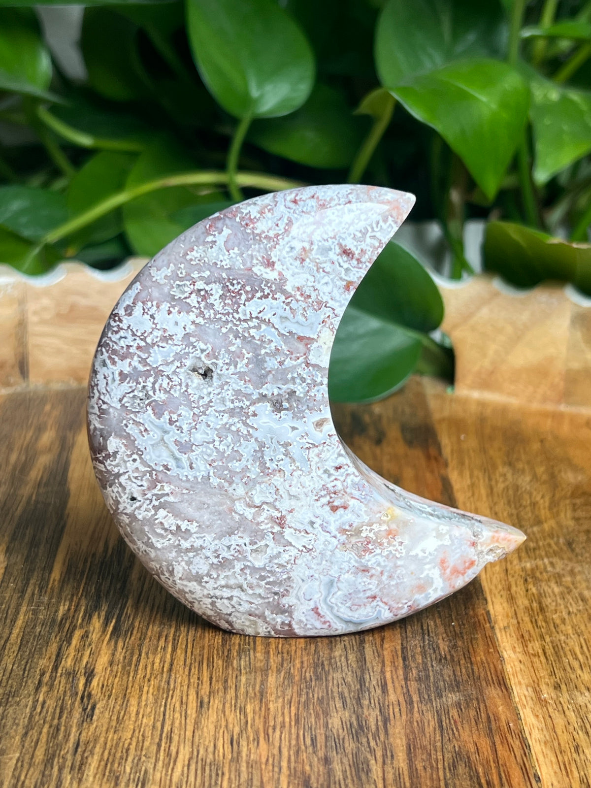 Sumatra Plume Agate Self-Standing Moon: SE