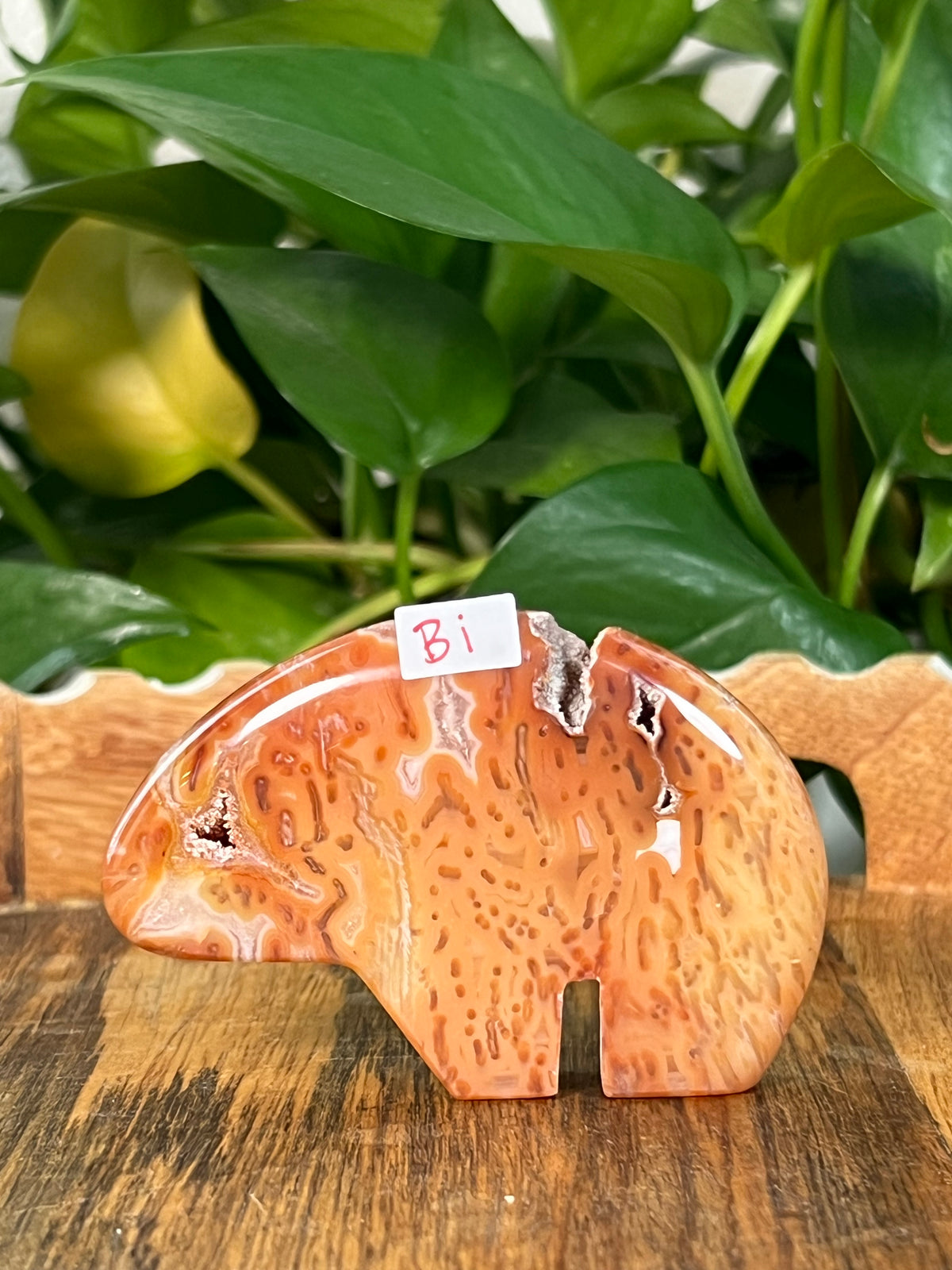Red Carnelian Bears