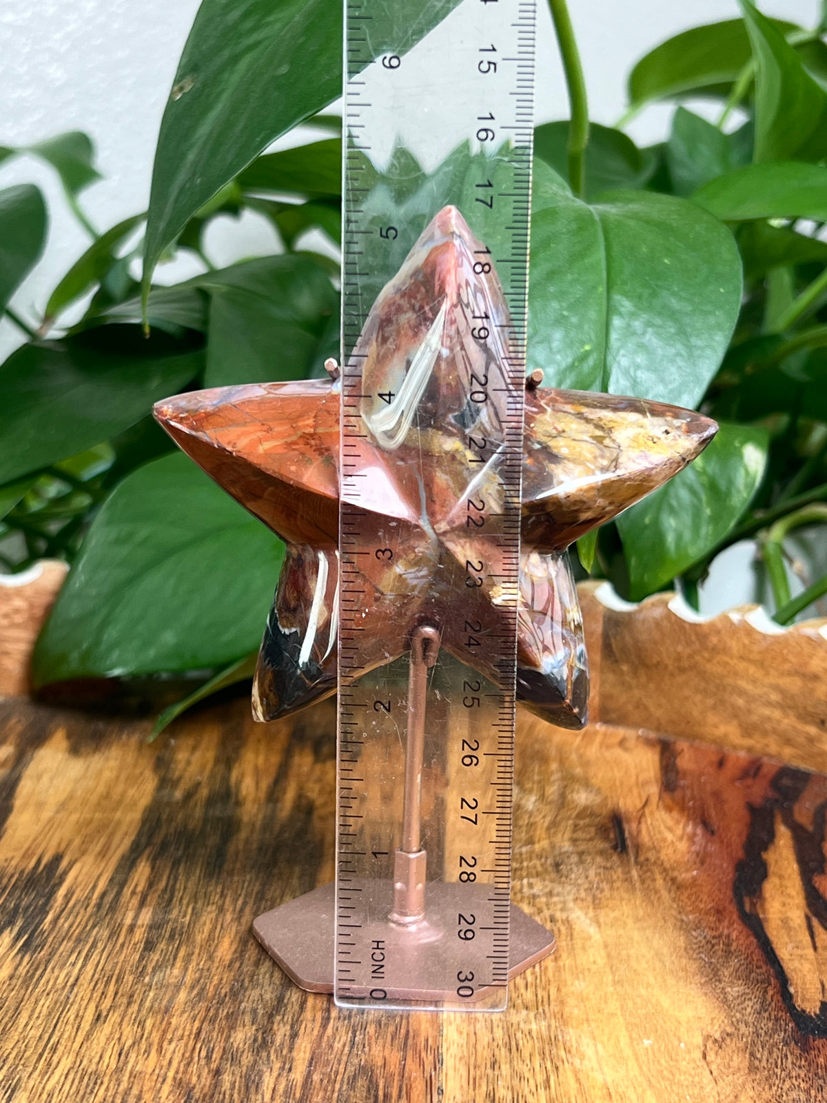 River Jasper Star: NY